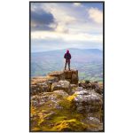 SHARP MultiSync PN-E329 80cm (31,5") 1920x1080 HDMI/USB-C informacijski monitor - slika 2